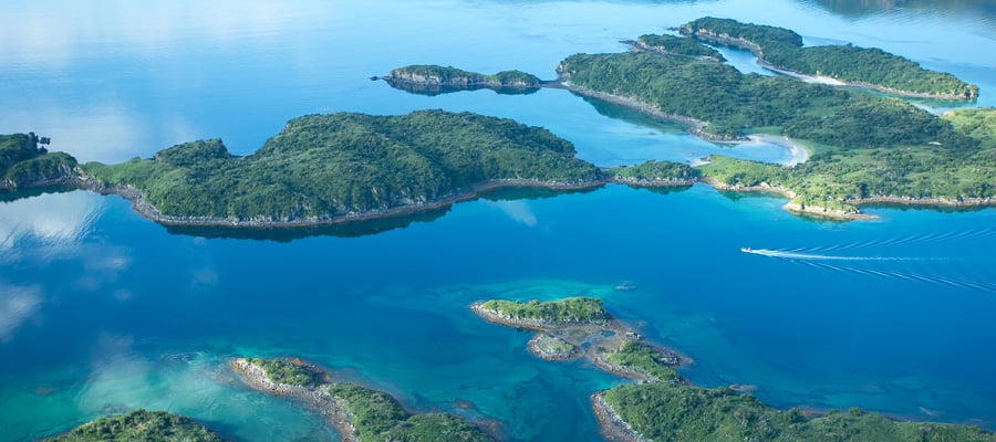 Ven a contemplar la espectacular belleza natural que rodea a Kodiak.